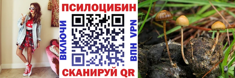Галлюциногенные грибы Psilocybe  MEGA маркетплейс  Галич  где найти  